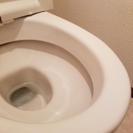 トイレ尿石