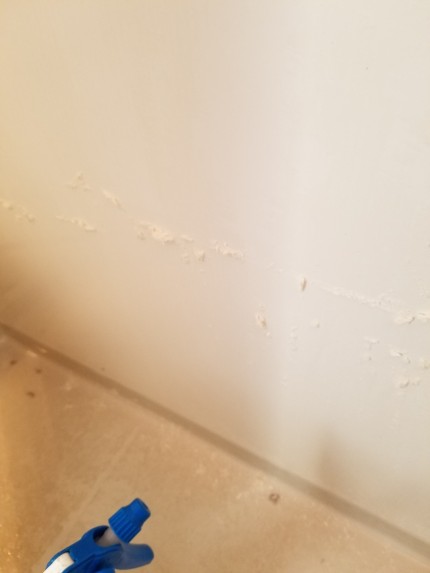 浴室壁水垢