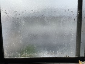 窓クリーニング