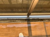 IMG_1742-1