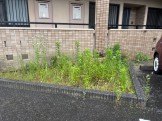 image0-571