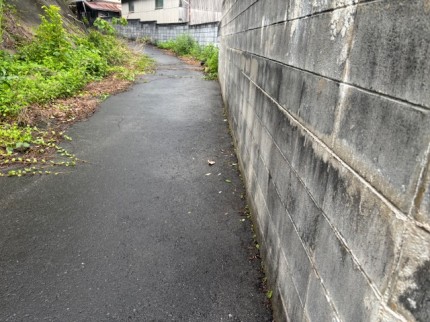 image1-551