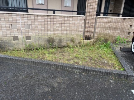 image1-60