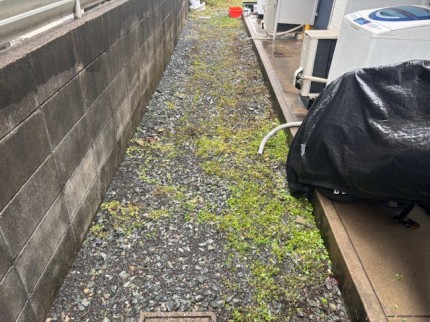 image3-421