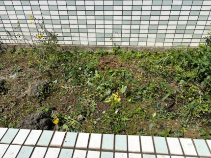 image5-301